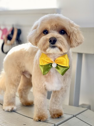 How Cute Dog Grooming