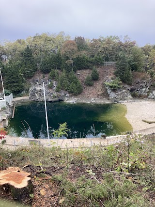 The Quarry Swimming Association