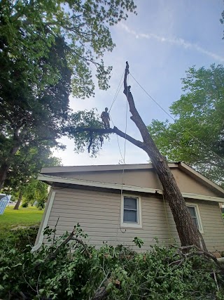 D&D TREE SERVICE & FIREWOOD DELIVERY(East,Ok)