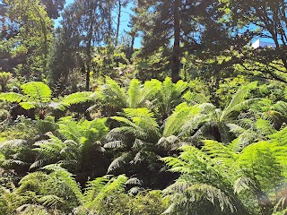 Jardin du Conservatoire Botanique National de Brest