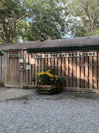 Top of the Bay Pet Lodge