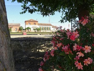 Escuela de niños