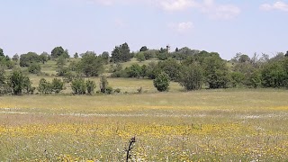 Haus am Roten Moor