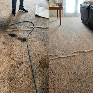 Bulldog Carpet Cleaning Las Vegas