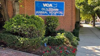 VCA Old Town Animal Hospital