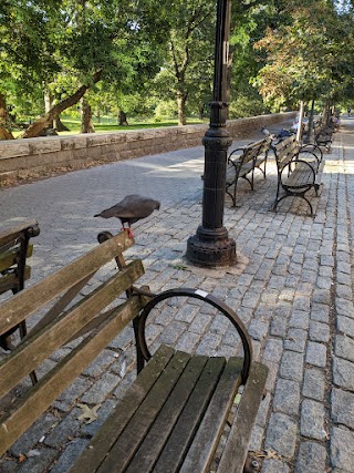 Eleanor Roosevelt Memorial