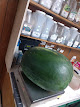 Photo of Oakland Feed & Seed - 770 Oakland Road, Spindale, NC 28160, USA