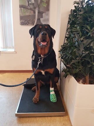 Tierklinik im Alstertal