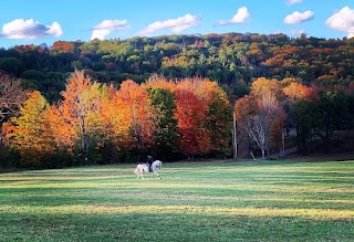 Fieldstone Equine Clinic