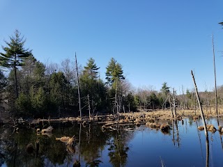 Little Brook Farm