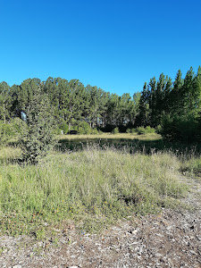 Ermita de laVirgen de la Vega