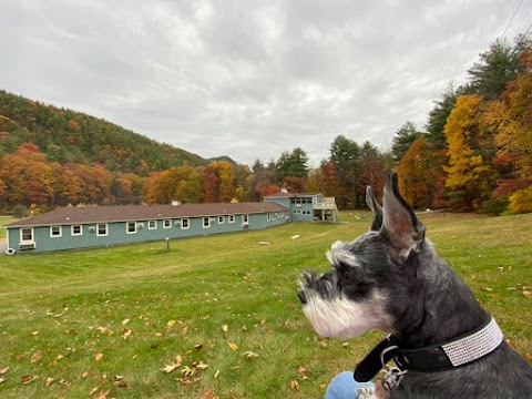 Briarcliff Motel