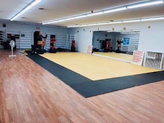 Martial Arts Institute of the Berkshires