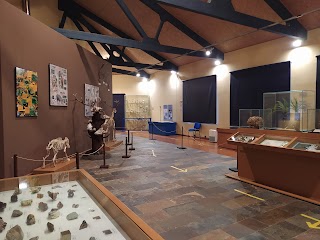 Museo de Historia Natural da SGHN Ferrol