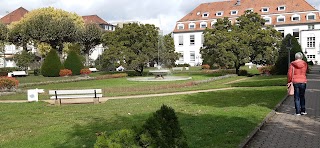 Universitätsmedizin der Johannes Gutenberg-Universität Mainz