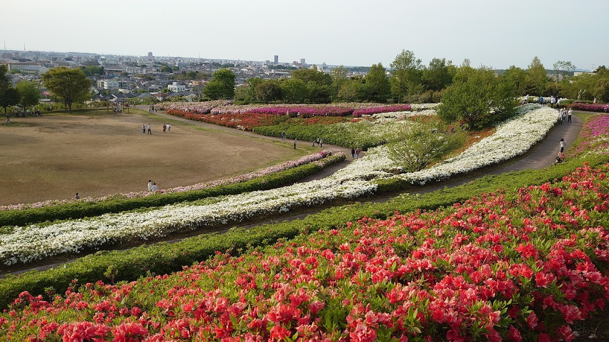 大乗寺丘陵総合公園