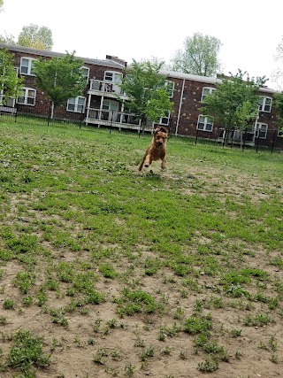 Old Louisville Dog Run (Members Only)