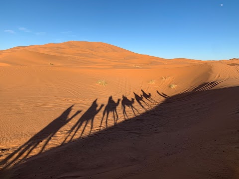 Nos Vemos Por El Mundo