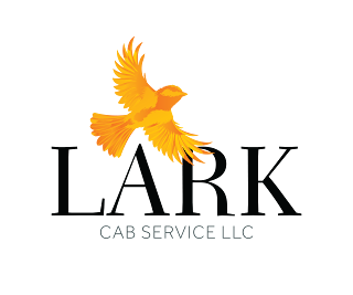 Lark Cab Service LLC