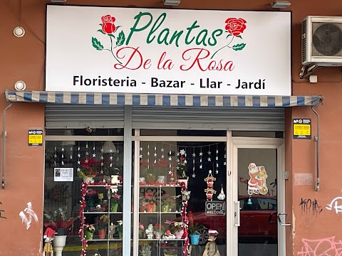Floristería Plantas de la Rosa