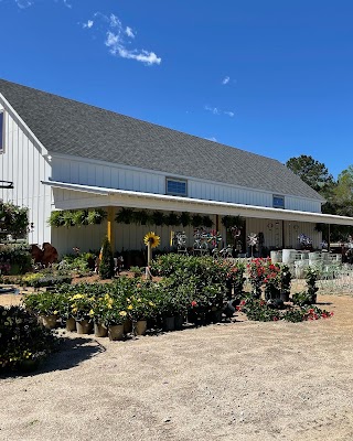 The Potting Shed North College