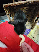 Photo of FarmerDavePetSupply.com - 3007 Langford Road, North Collins, NY 14111, USA