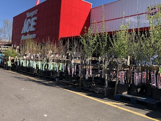 Yeager Ace Hardware