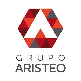 GRUPO ARISTEO