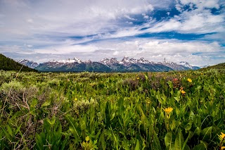 McReynolds Blacktail Cabins