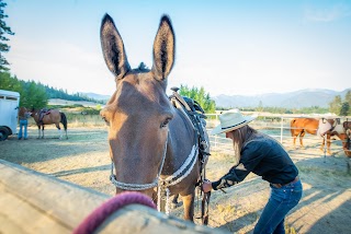 Applegate Trail Rides