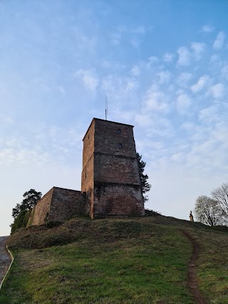 Burg Siersberg
