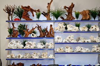 Aquatic Treasures/Bruces Pond Shop