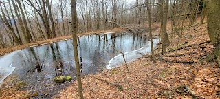 McCune Trailhead Parking