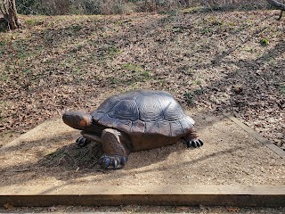 Western North Carolina Nature Center