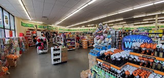 Dollar Tree