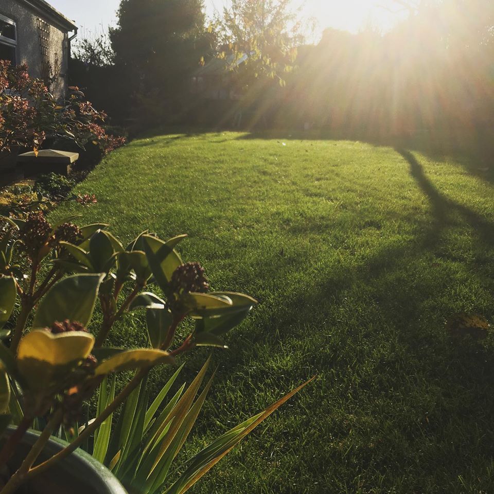 North Hampshire Lawn Treatments ltd in 42 Selby Walk, Basingstoke RG24 9EE, UK - Gardeners featuring 
