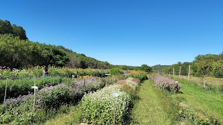 Flower Valley Orchard