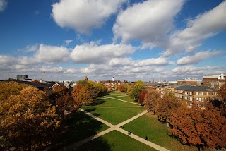 University of Illinois at Urbana-Champaign College of Liberal Arts & Sciences