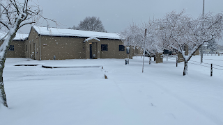 Dover AFB Veterinary Treatment Facility