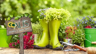 Ali's Organics & Garden Supply