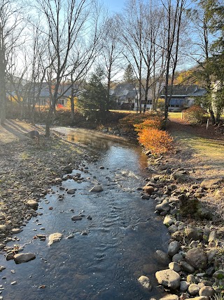 Hawk Inn and Mountain Resort