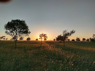 Woodlands School Park