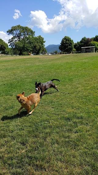 Ashland Dog Park