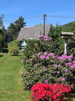 Feriendorf Eichwald Pfälzer Ferienhaus