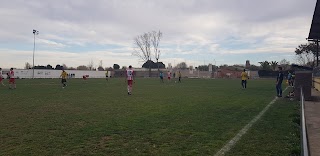 Centro Deportivo Municipal Monzalbarba. Pistas y Piscinas