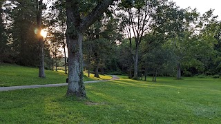 Mt Bradford Disc golf course