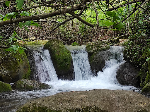 Sendero Río Majaceite