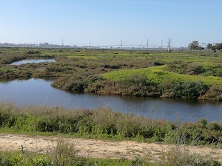 Parque Natural Bahía de Cádiz