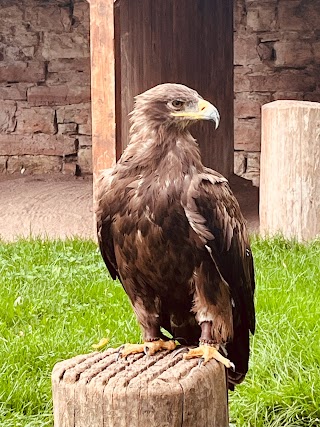 Adler- und Falkenhof Schütz Niederburg