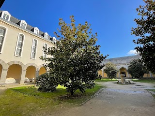 Université de Rennes - Campus centre